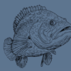 The Mystery Beneath Liloan: Cebu’s Legend of the Giant Fish