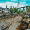 Barangay Pasil seeks city funding to clear Guadalupe River banks, curb flooding